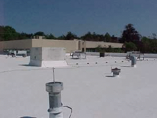 Roof Menders work on flat roof